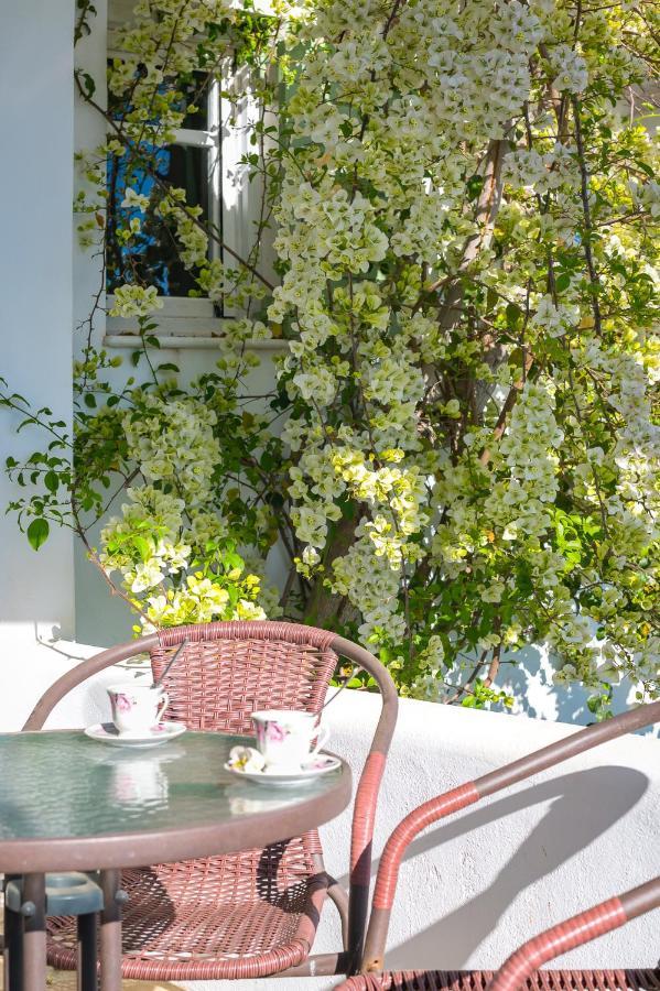 Dahlia Apartments And Studios Alikí Dış mekan fotoğraf